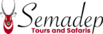 web-logo